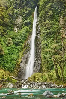 West Coast Prints: Waterfall Thunder Creek Falls and Hst River - New Zealand, South Island, West Coast