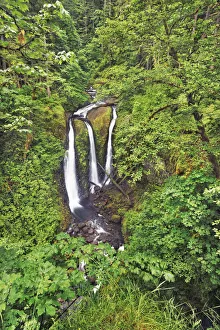 Temperate Rain Forest Prints: Waterfall Triple Falls in Pacific rainforest - USA, Oregon, Multnomah, Oneonta Creek