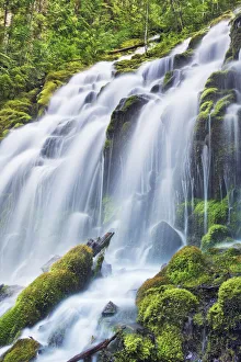 Cascade Range Prints: Waterfall Upper Proxy Falls - USA, Oregon, Lane, Upper Proxy Falls - Cascade Range