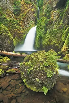 Temperate Rain Forest Prints: Waterfall Wahclella Falls in Pacific rainforest - USA, Oregon, Multnomah, Tanner Creek