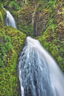 Temperate Rain Forest Prints: Waterfall Wahkeena Falls in Pacific rainforest - USA, Oregon, Multnomah