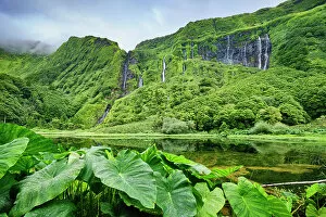 Images Dated 9th January 2023: Waterfalls at Poco da Ribeira do Ferreiro, a nature reserve. In the foreground the giant leaves of