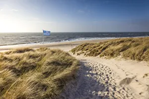 West Beach Prints: Way to the west beach near Kampen, Sylt, Schleswig-Holstein, Germany