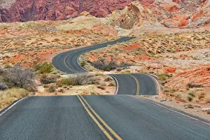 Southwest Prints: Weathered sandstone rock formations and desert shrubs along the Scenic Drive- Rainbow Vista