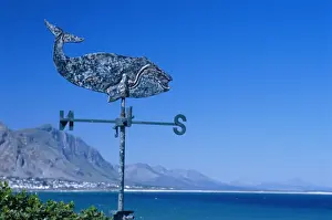 Meteorology Prints: A weathervane in the shape of a whale on a house overlooking Walker Bay