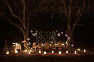 Dinner Prints: Wedding dinner while on Safari, Khwai River, Okavango Delta, Botswana