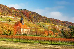 Viniculture Prints: Weinbergkirche near Pillnitz Castle
