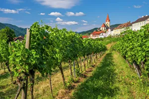 Donau Prints: Weissenkirchen in der Wachau, Lower Austria, Austria