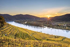 Weissenkirchen in der Wachau, Wachau, Waldviertel, district of Krems, Lower Austria