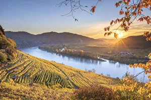 Autumnal Prints: Weissenkirchen in der Wachau, Wachau, Waldviertel, district of Krems, Lower Austria