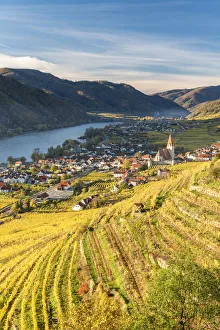 Weissenkirchen in der Wachau, Wachau, Waldviertel, district of Krems, Lower Austria