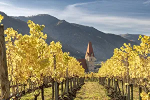 Weissenkirchen in der Wachau, Wachau, Waldviertel, district of Krems, Lower Austria