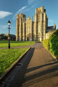 Wells Prints: Wells Cathedral in evening sunlight, Wells, Somerset, England. Spring (May) 2019