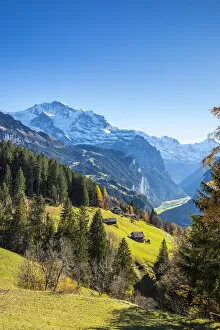 Images Dated 15th November 2018: Wengen, and Jungfrau mountain, Berner Oberland, Switzerland