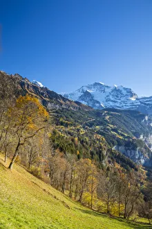 Wengen, and Jungfrau mountain, Berner Oberland, Switzerland