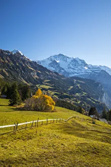 Wengen, and Jungfrau mountain, Berner Oberland, Switzerland