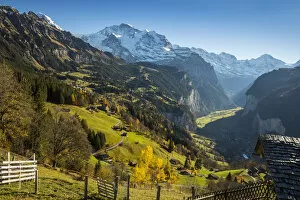 Images Dated 15th November 2018: Wengen, and Jungfrau mountain, Berner Oberland, Switzerland