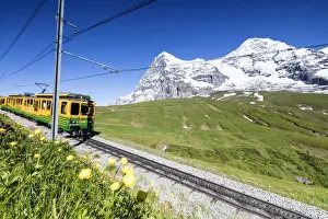 The Wengernalpbahn rack railway runs across meadows and snowy peaks Wengen Bernese