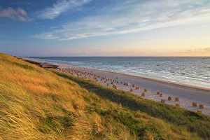 Deckchairs Prints: Wenningstedt beach, Sylt, Schleswig Holstein, Germany
