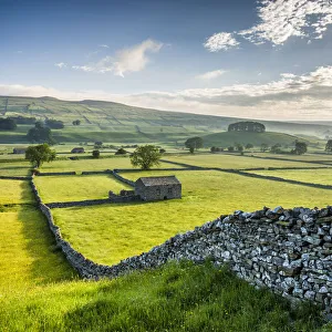 Wensleydale, Yorkshire Dales National Park, North Yorkshire, England, UK