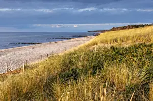 Middle Europe Prints: West beach on the Baltic Sea, peninsula Fischland-Darss-Zingst