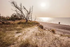West beach at Darsser Ort, Mecklenburg-West Pomerania, Baltic Sea, North Germany, Germany