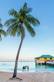 West Indies Prints: West Indies, Barbados, Bridgetown