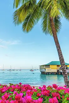 Barbados Prints: West Indies, Barbados, Bridgetown, Carlisle Bay, Pebbles Beach