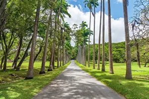University Prints: West Indies, Barbados, Saint John, Codrington College