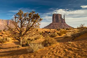 Reservation Prints: West Mitten Butte, Monument Valley Navajo Tribal Park, Arizona, USA