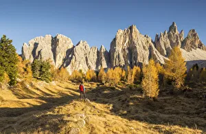 The west walls of Mount Croda da Lago, Giau Pass, Belluno district, Veneto, Italy (MR)