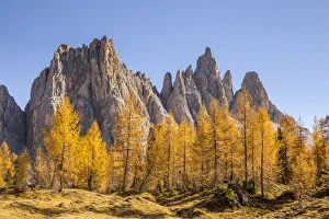 Larch Prints: The west walls of Mount Croda da Lago, Giau Pass, Belluno district, Veneto, Italy