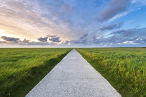 Images Dated 11th July 2017: Westerhever, Eiderstedt, North Frisia, Schleswig-Holstein, Germany