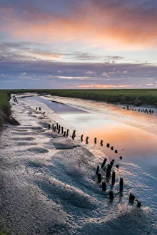 Westerhever, Eiderstedt, North Frisia, Schleswig-Holstein, Germany