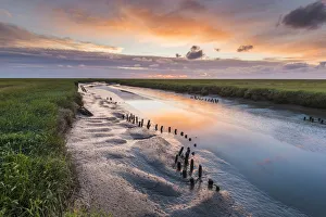 Images Dated 25th August 2017: Westerhever, Eiderstedt, North Frisia, Schleswig-Holstein, Germany
