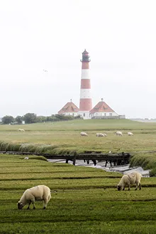 Westerhever lighthouse, Eiderstedt, North Frisia, Schleswig-Holstein, Germany