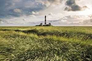 Images Dated 11th July 2017: Westerhever lighthouse, Eiderstedt, North Frisia, Schleswig-Holstein, Germany