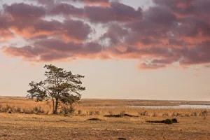 Lagoon Gallery: Western Pomerania Lagoon Area National Park, Mecklenburg-Western Pomerania