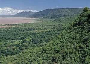 Alkaline Lake Collection: Western wall of the Great Rift Valley above Lake Manyara