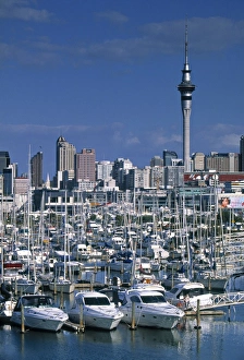 Westhaven Marina