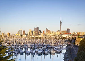 Westhaven Marina & city skyline illuminated at sunset, Waitemata Harbour, Auckland