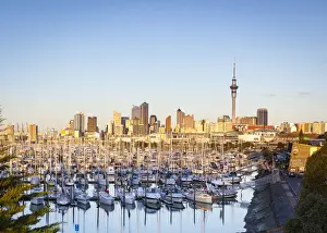 Nautical Prints: Westhaven Marina & city skyline illuminated at sunset, Waitemata Harbour, Auckland