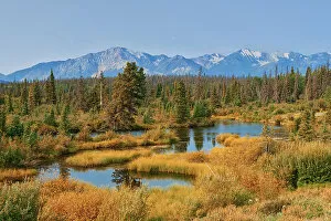 Northern Canada Collection: Wetlands and the Kluane Ranges, the easternmost of the St Elias Mountains