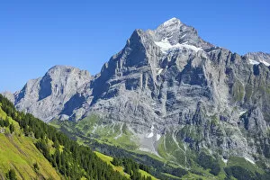 Images Dated 1st September 2021: Wetterhorn, Grindelwald, Berner Oberland, Canton Berne, Switzerland