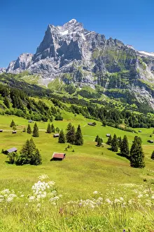 Grindelwald Prints: Wetterhorn from above Grindelwald, Canton of Bern, Switzerland