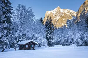 Images Dated 31st January 2022: Wetterhorn mountain, Grindelwald, Jungfrau Region, Berner Oberland, Switzerland