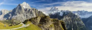 Pathway Collection: Wetterhorn & Schreckhorn Viewed From FIRST, Grindelwald, Bernese Oberland, Switzerland