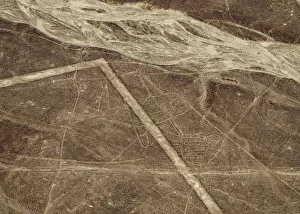 Ica Region Prints: The Whale Geoglyph, aerial view, Nazca, Ica Region, Peru