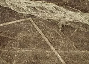Images Dated 8th November 2017: The Whale Geoglyph, aerial view, Nazca, Ica Region, Peru