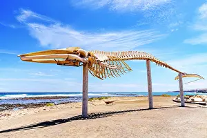Skeleton Prints: Whale skeleton on a beach at Las Salinas del Carmen salt flats